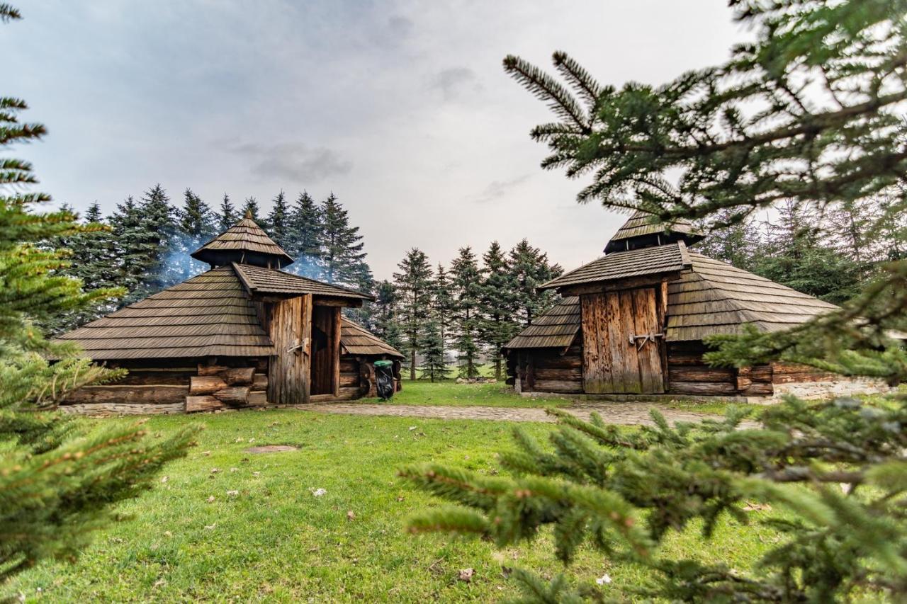 Готель Dom Sportowca Blonie - Mosir Санок Екстер'єр фото